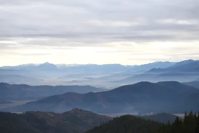 DSC_0100 (Large).JPG